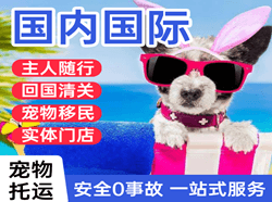 通化三源浦机场空运国际宠物托运 【国